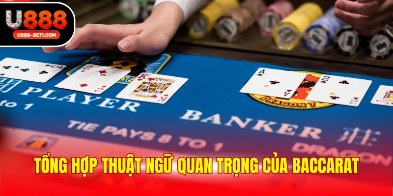 Tổng hợp thuật ngữ quan trọng của baccarat